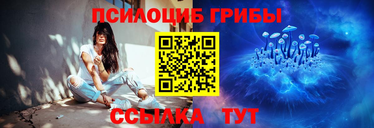 Псилоцибиновые грибы мицелий  Галлюциногенные грибы Cubensis  купить наркотик  Сафоново  Вход с VPN 